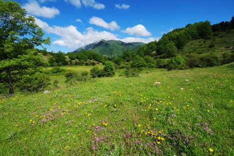 Loc.-Pratacce-Prateria-di-alto-valore-naturalistico